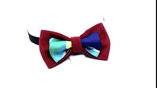 Miniature : Bow Tie Oscar