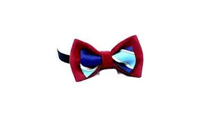 Miniature : Bow Tie Noa