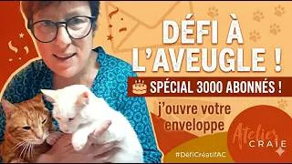 Miniature : Défi à l'Aveugle 05 | Kit de Valérie B  | Concours des 3k