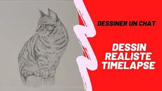 Miniature : DESSIN RÉALISTE - Timelapse - Apprendre à dessiner un CHAT