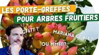 Miniature : 🍒Pour plus de 21 espèces ! Et comment choisir la bonne variété