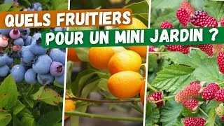 Miniature : 🍊Quels fruitiers pour un mini jardin ? (balcon, terrasse, culture en bacs, agriculture urbaine...)