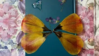 Miniature : Fleurs séchées dans nos projets
