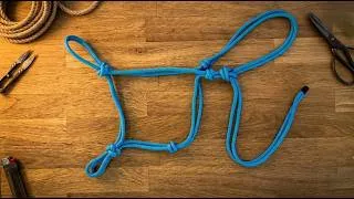 Miniature : Licol éthologique en cordes : le tuto pas à pas