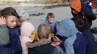 Miniature : Retour sur l'année scolaire 2023/2024 : L'écume et le Parc marin de l'Iroise