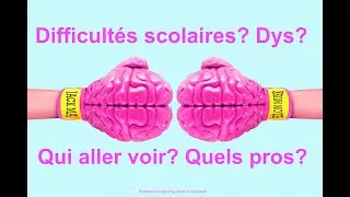 Miniature : Difficultés scolaires? Dys? Qui aller voir? Quels professionnels?