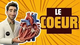 Miniature : Le coeur ❤️