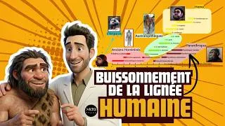 Miniature : Buissonnement de la lignée humaine 🌳