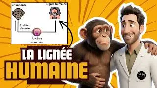 Miniature : Caractéristiques de la lignée humaine 🐵