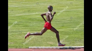 Miniature : À l’entraînement avec le Champion Olympique Mo FARAH (🇬🇧) à Font-Romeu. Admirez l’élégance du geste🔥