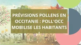 Miniature : Prévisions pollens en Occitanie : Poll'Occ mobilise les habitants !