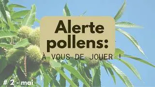 Miniature : Alerte pollens : Quels risques d'allergies en mai ?