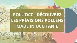 Miniature : Alerte pollens : Vous tenir informés en Occitanie