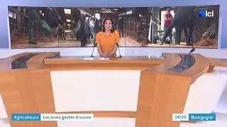 Miniature : Prévention TMS en élevage : action « Ménage ta santé »