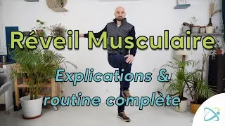 Miniature : Réveil musculaire au travail : séance guidée 5 à 8 minutes (Prévention TMS)
