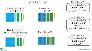 Miniature : 0656 6ème Les critères de divisibilité par 3, 4, 6 et 9, avec la pédagogie PNL