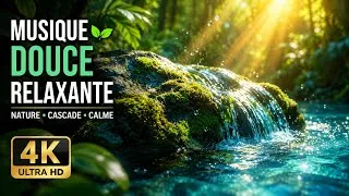 Miniature : Musique Douce Relaxante 🌿 Nature, Cascade 4K et Eau Apaisante pour Dormir