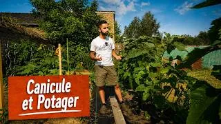 Miniature : Canicule au potager : même pas peur !