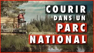 Miniature : Je fais le tour d'un parc national ! - FULUFJÄLLET (Suède)