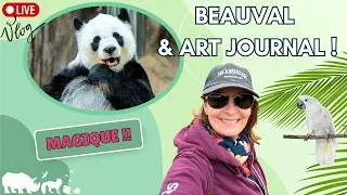 Miniature : WEEK-END MAGIQUE À BEAUVAL 🦁 + Relooking d’une trouvaille chinée & Création de mon Art journal
