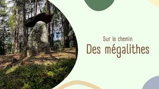 Miniature : Sur le chemin des mégalithes