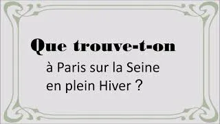 Miniature : Que trouve t'on à Paris sur la Seine en plein hiver?