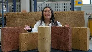 Miniature : Concours Vidéo RUGC 2026 : Alexiane Phan