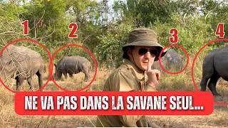 Miniature : 5 JOURS EN OUGANDA - Un pays sous-estimé que tu ne dois pas manquer