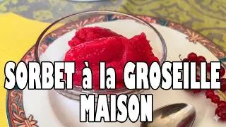 Miniature : COMMENT FAIRE le MEILLEUR SORBET à la GROSEILLE MAISON