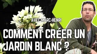 Miniature : CRÉER un JARDIN BLANC : le TOP 4 des PLANTES pour ÉCLAIRER la NUIT