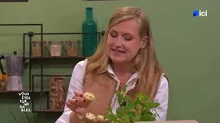 Miniature : La meilleure recette de tarte aux aubergines !