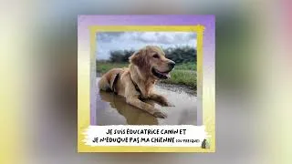 Miniature : 10. Je suis éducatrice canin... Et je n'éduque pas ma chienne (ou presque) ! 🫢
