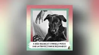 Miniature : 9. Six idées reçues et conseils moisis sur la protection de ressources 🐊