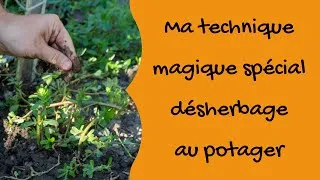 Miniature : Marre du désherbage des semis ? Voici la technique qui simplifie tout