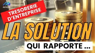 Miniature : Trésorerie d'entreprise optimisée : La Solution Apexi Wealth qui Rapporte !