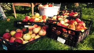 Miniature : UN PIED A LA VILLE UN PIED A LA FERME
