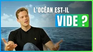 Miniature : Pourquoi protéger l’océan est une question de survie – avec Raphaël De Wael (BLOOM)