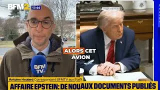 Miniature : Trump et Epstein : révélations chocs sur un passé commun