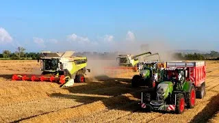 Miniature : Moisson 2024 avec l’ETA Laroche | 2 x Claas Lexion 7500 + 6800 | Fendt 726 et 724