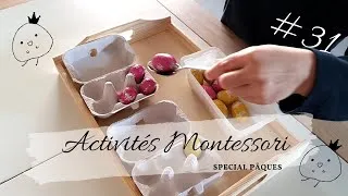 Miniature : #31 Activités Montessori spécial Oeufs!