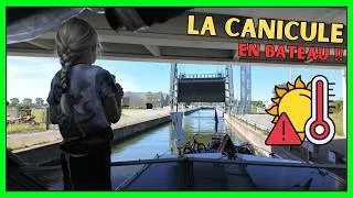 Miniature : 709- DANGER Canicule !!! En Belgique comment on survit ???