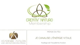 Miniature : Cours de Naturopathie - Canaliser l'énergie créatrice