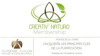 Miniature : Cours de Naturopathie - Les cures détox