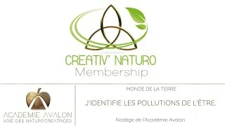 Miniature : Cours de Naturopathie - Les pollutions de l'être