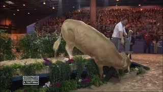 Miniature : Agriculteur à tout prix - partie 1