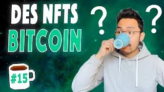 Miniature : Des Ordinals NFT sur Bitcoin, la collection Moonbirds en perdition, la marque Clarins et les NFTs...