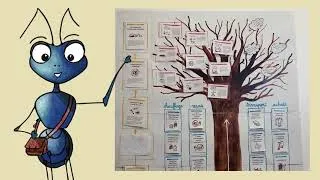 Miniature : L'arbre ÉduClimat