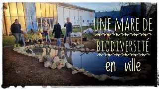 Miniature : Une #mare #urbaine de #biodiversité