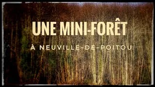 Miniature : Une Mini-forêt pour la Résilience Urbaine à Neuville-de-poitou